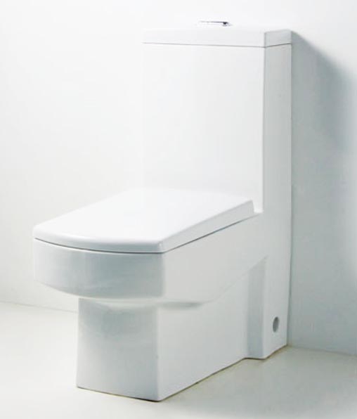 Fabricant de toilettes monobloc